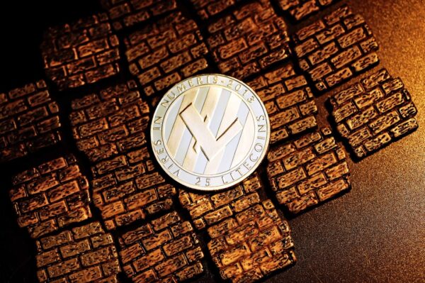 Geger! Penemuan Pohon yang Bisa Berbuah Token Listrik di Bekasi.